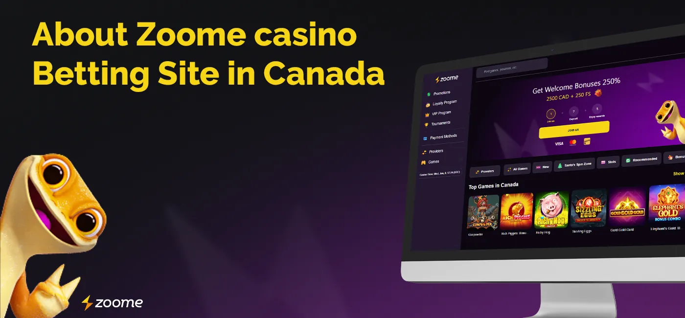 General information about Zoome online casino 
